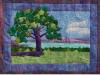 landscape-of-canandaigua-quilted